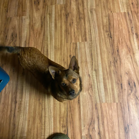 Meet your Posher, Matthew - Picture 1 of 1